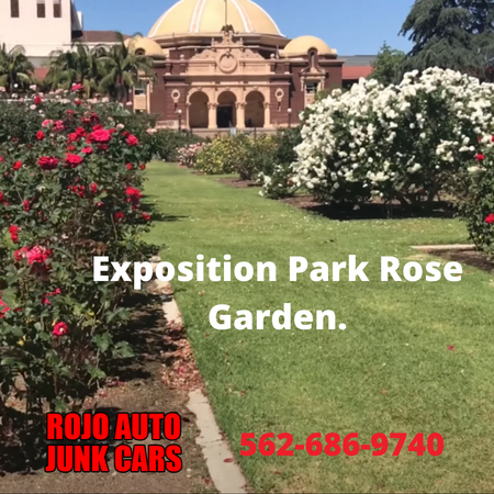 Exposition Park Rose Garden.